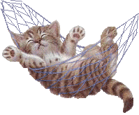 j'adore les chats